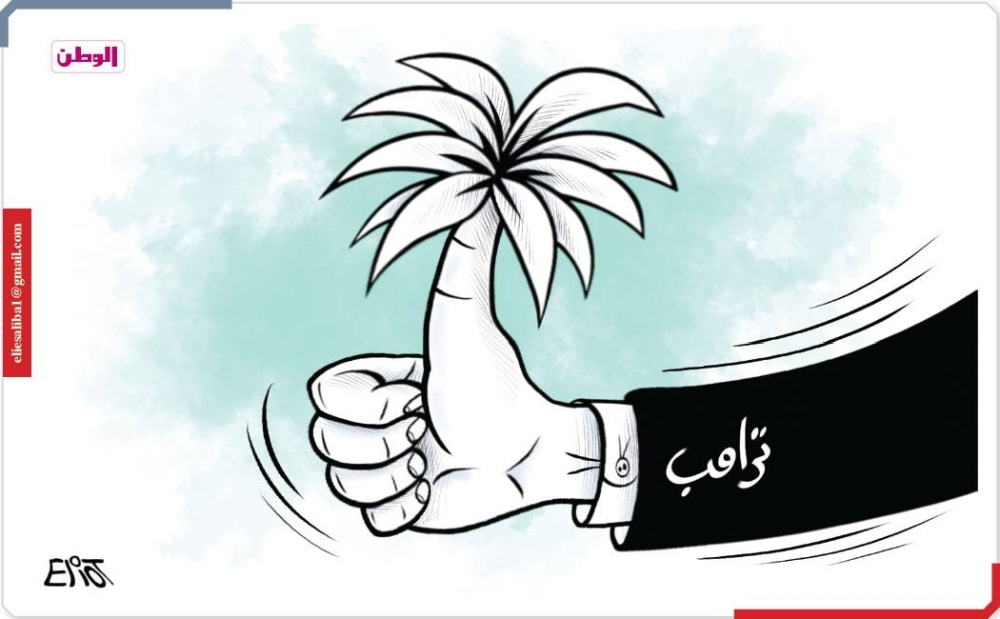 1747206525alwatan.jpg